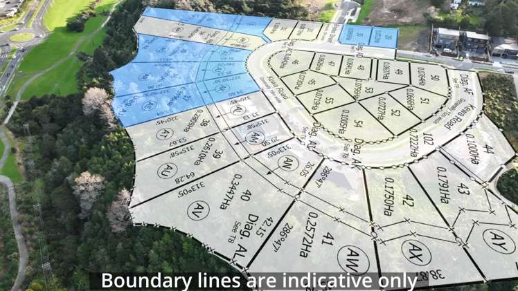 112 Kewa Road Albany Heights_2