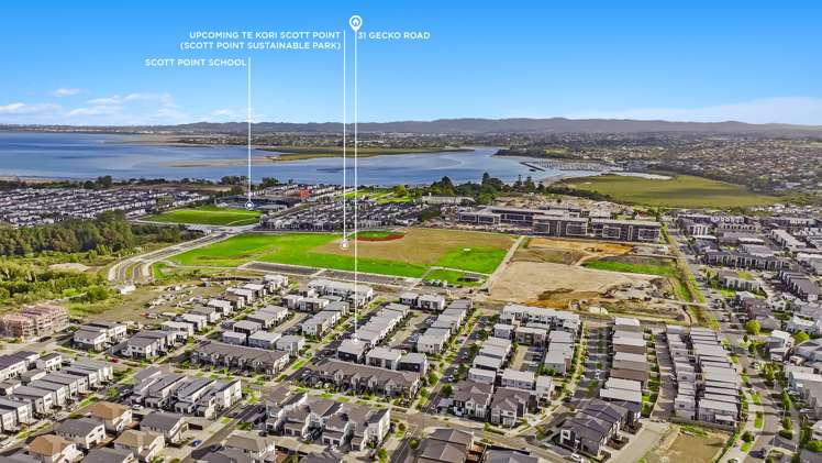 31 Gecko Road Hobsonville_16