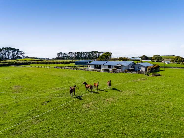 52 Climie Road Stratford_44