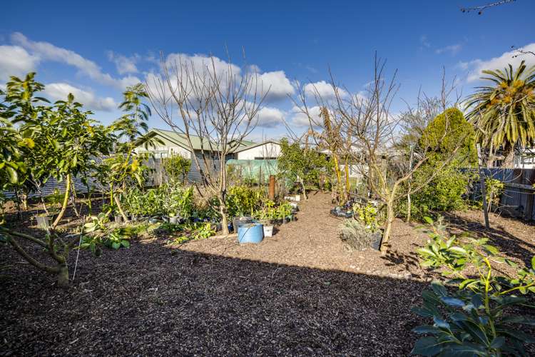 1022 Konini Street Mahora_14