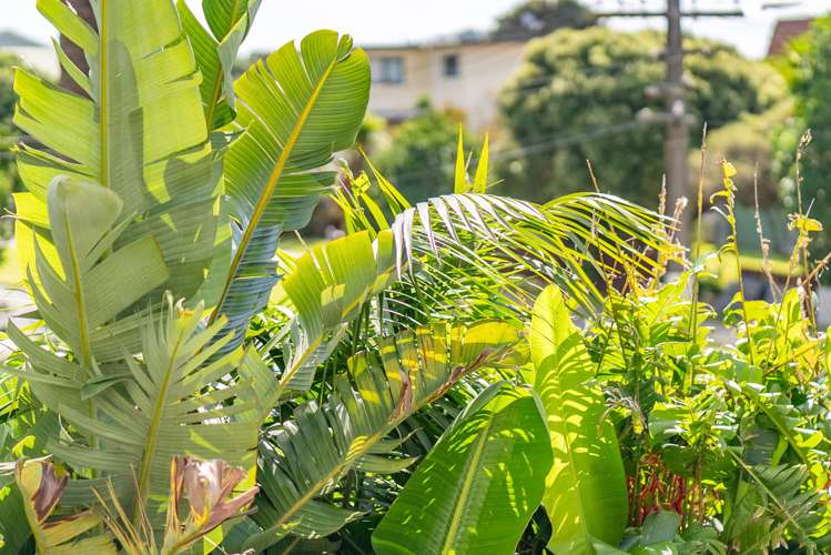 8 Taipari Avenue Raglan_32