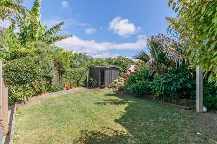 27 Sherwood Avenue Grey Lynn_14