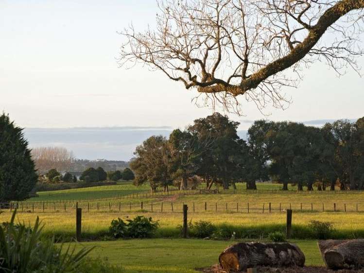 355 Waikaramu Road Waimate North_15