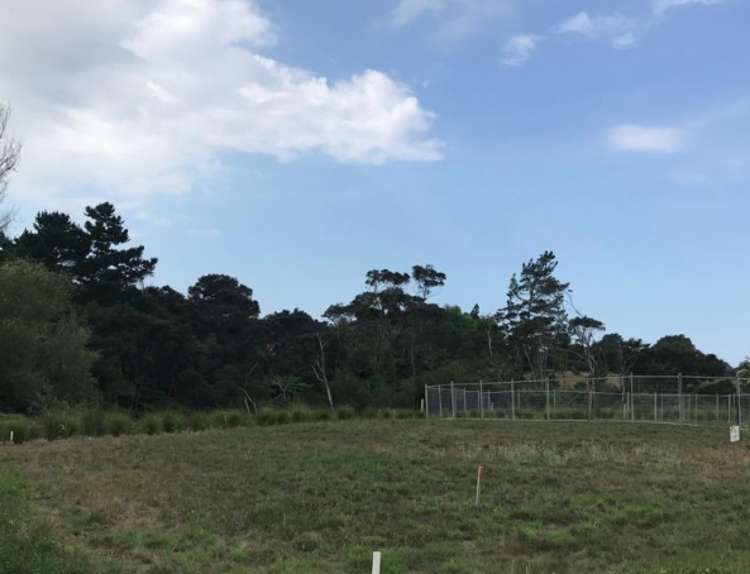 41 Kano Way Hobsonville_0