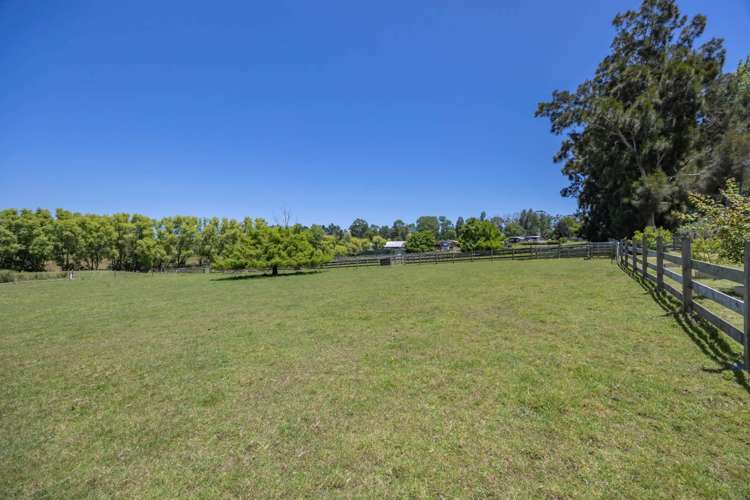 134 Postman Road Dairy Flat_11