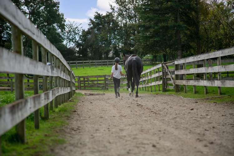 1032 Tauwhare Road Tauwhare_3
