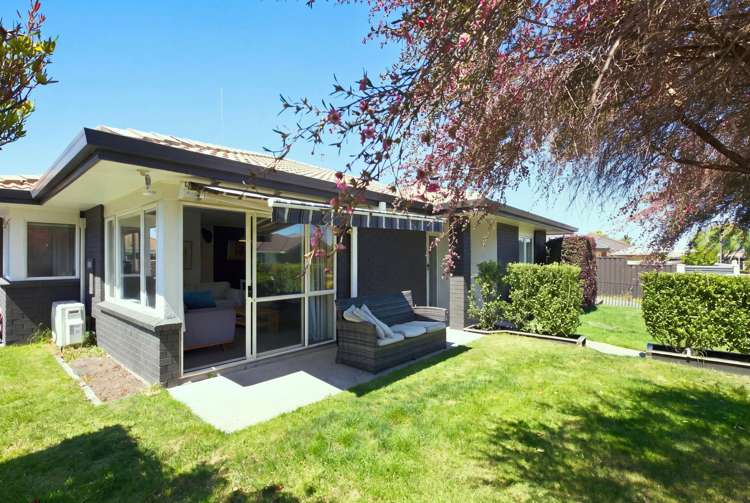 49A Lotus Avenue Mt Maunganui_0