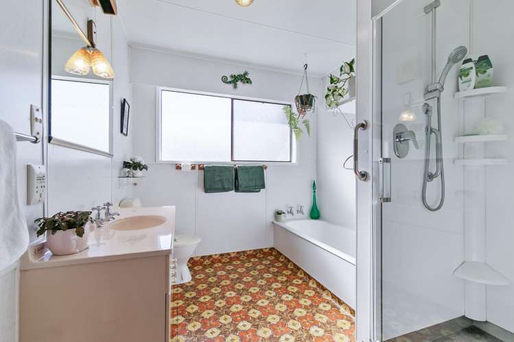 164 Winchester Street Levin_14