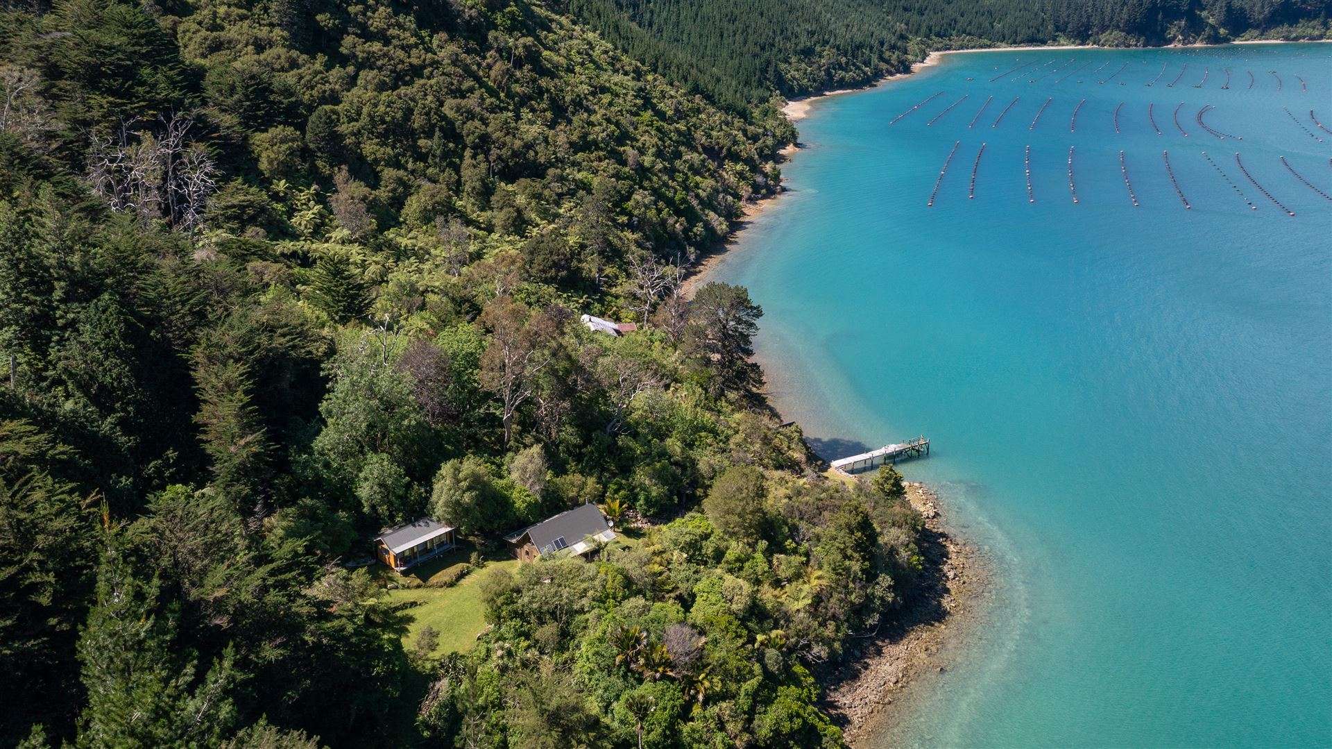 Little Nikau Bay Kenepuru Sound_0