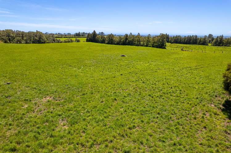 869 Dudley Road Upper Kaimiro_4