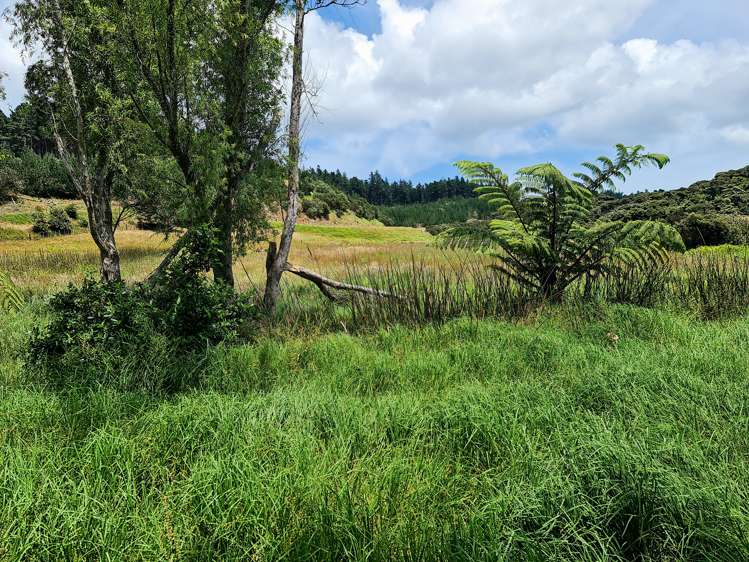 96 Mcmanus Road Houhora_6