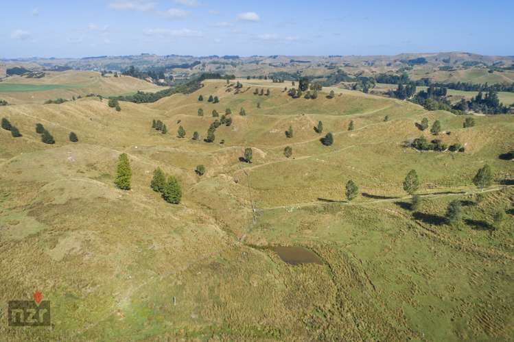 3769 Pohangina Valley East Road Apiti_5