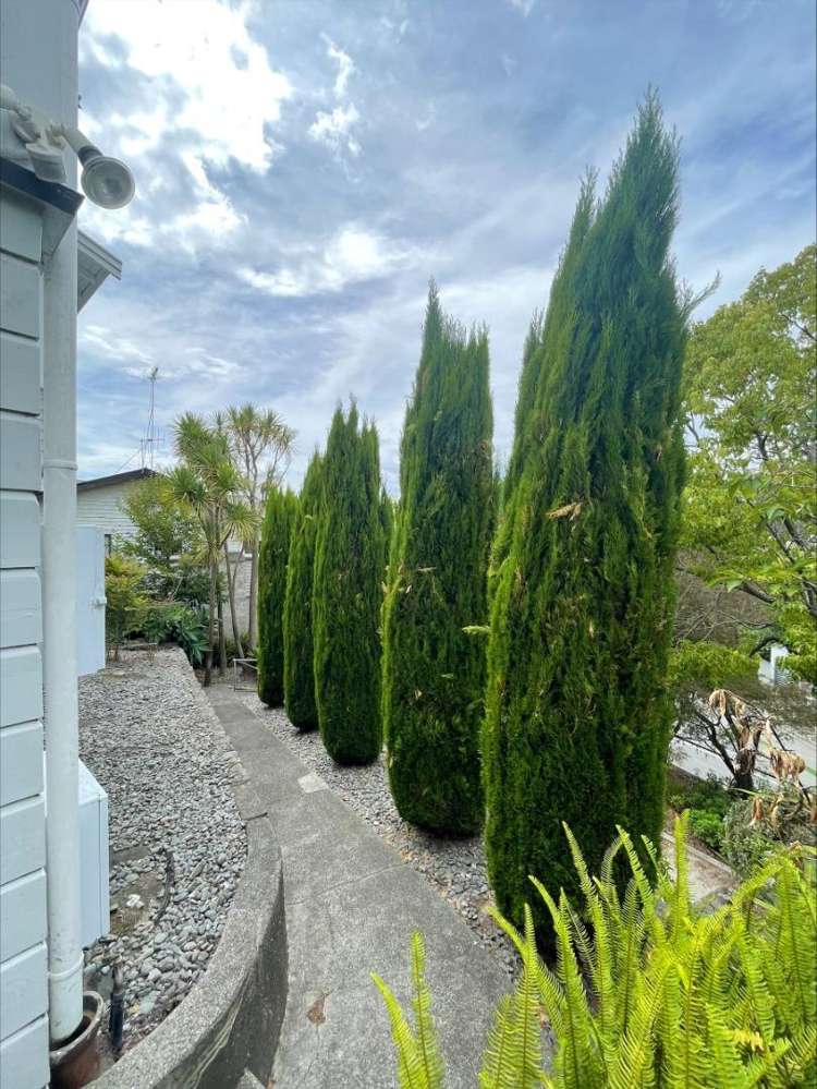 4a Simla Terrace 10782_3