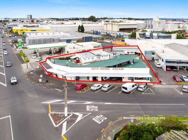 263 Mount Smart Road Onehunga_3