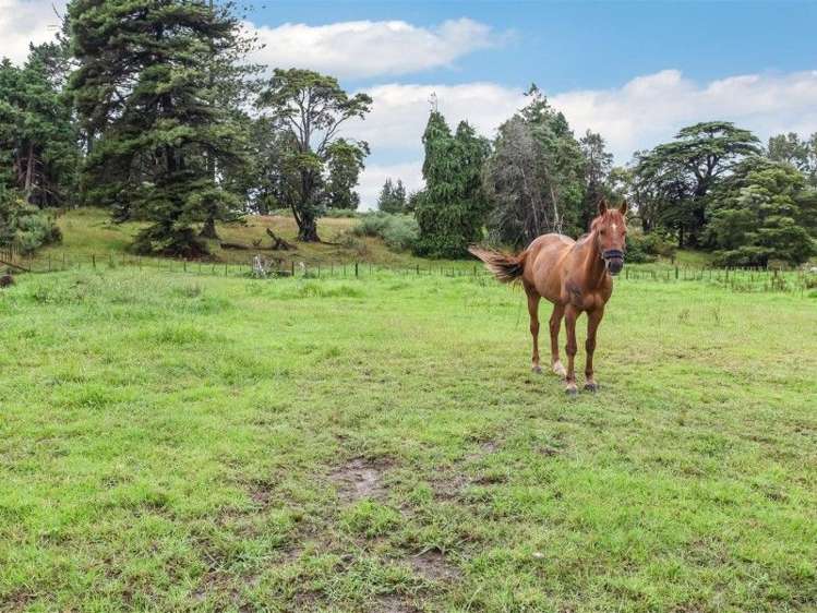 201 Opaheke Road Opaheke_6