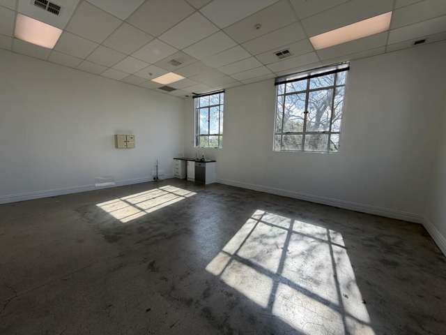 Part Ground, 20 Alma Street Hamilton City Central_3