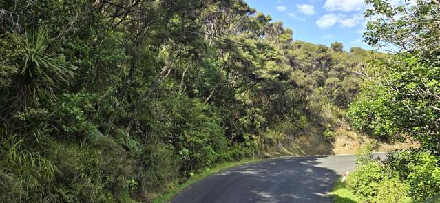 174 Shoal Bay Road Great Barrier Island (Tryphena)_4