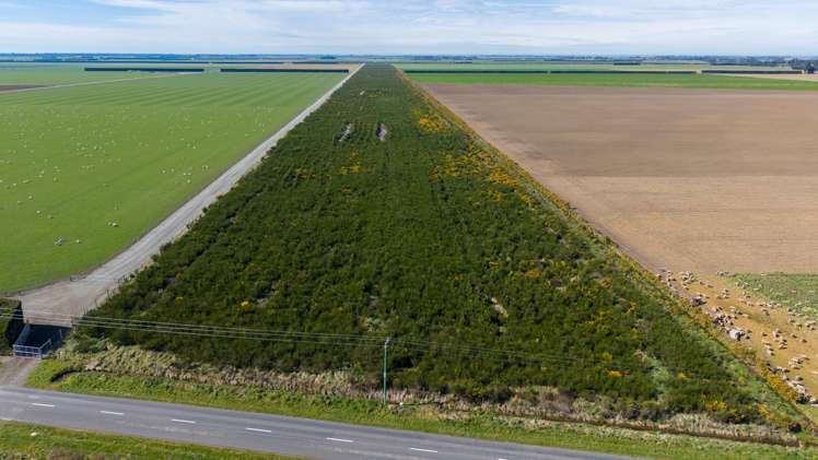 Company Road Ashburton_2