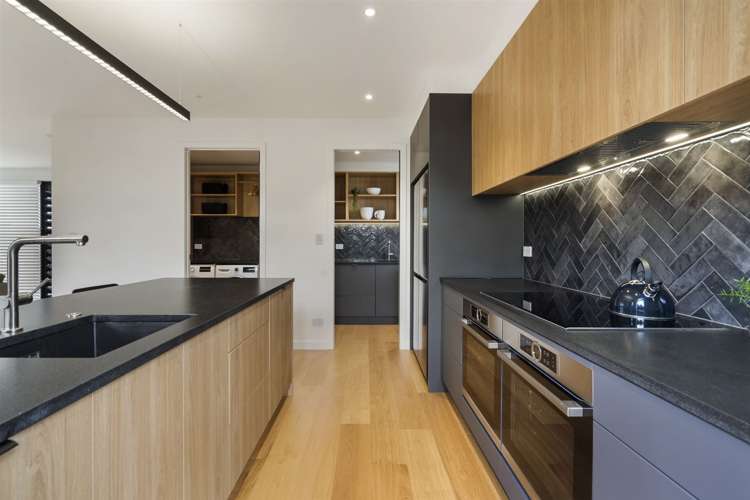 30b Wolsley Avenue Milford_10