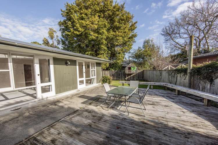 292 Park Road Hokowhitu_20
