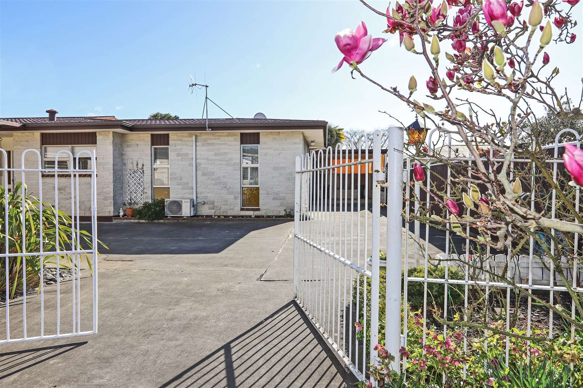 204 Terrace Road Parkvale_0