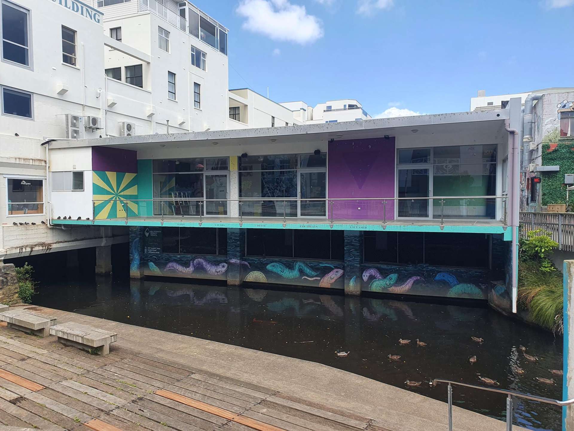 17 Brougham Street New Plymouth_0