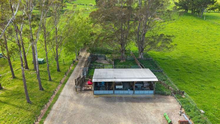 650 Ronga Road Rai Valley_31