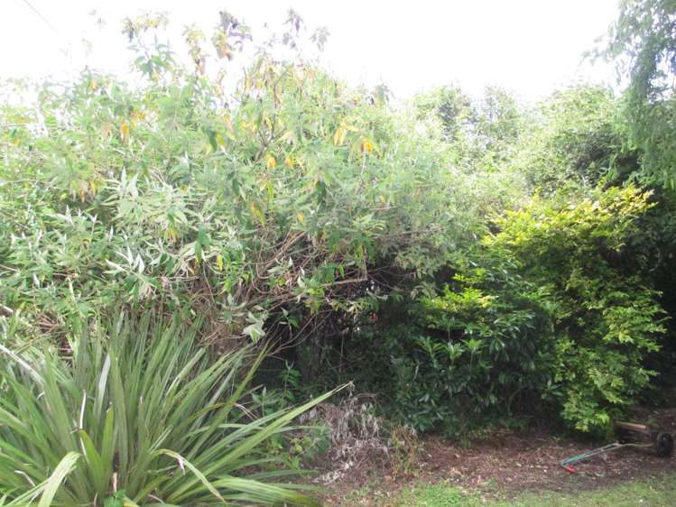 2479 Papatowai Highway Papatowai/Pounawea_10