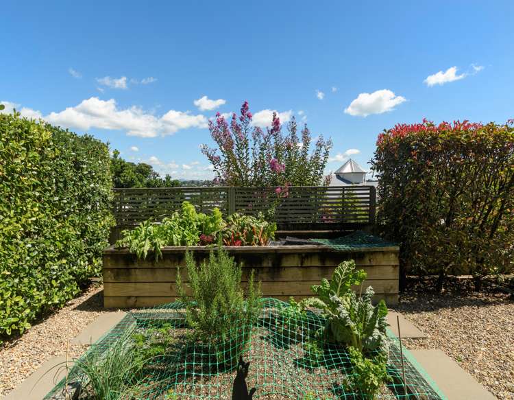5 Edgecumbe Road Avenues_21