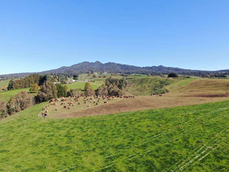 480 O'Shea Road Pirongia_6