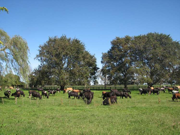 118 Costall Road Wardville_2