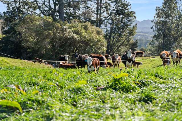 Bare Land, Big Potential – Pure Opportunity