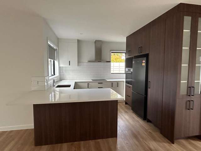 71 Auckland Road Greenmeadows_2