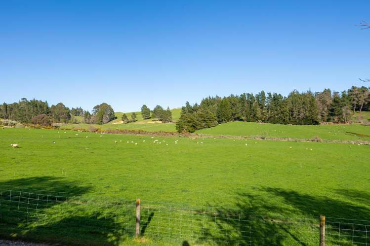 240 George Harvey Road Upper Moutere_22