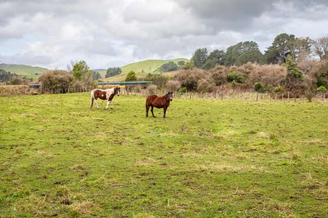 100 Newman Road Eketahuna_3