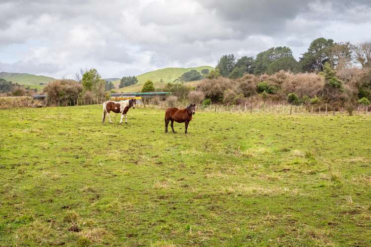 100 Newman Road Eketahuna_3