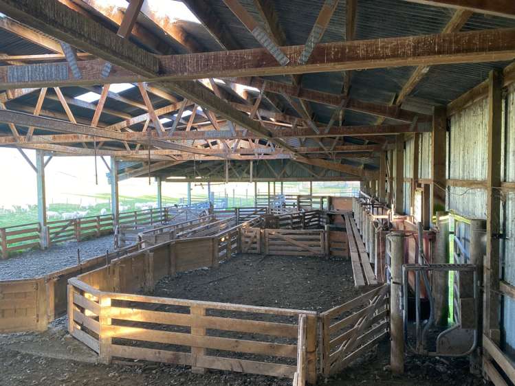 214 Gap East Winton Surrounds_18