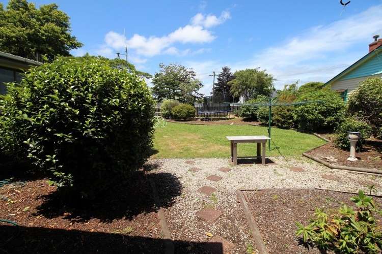 15 Wilson Street Bulls_40