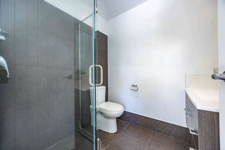 9/11 Hatfield Place Albany Heights_16