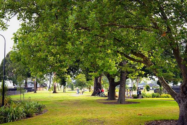 31 Derbridge Street Ravenswood_2