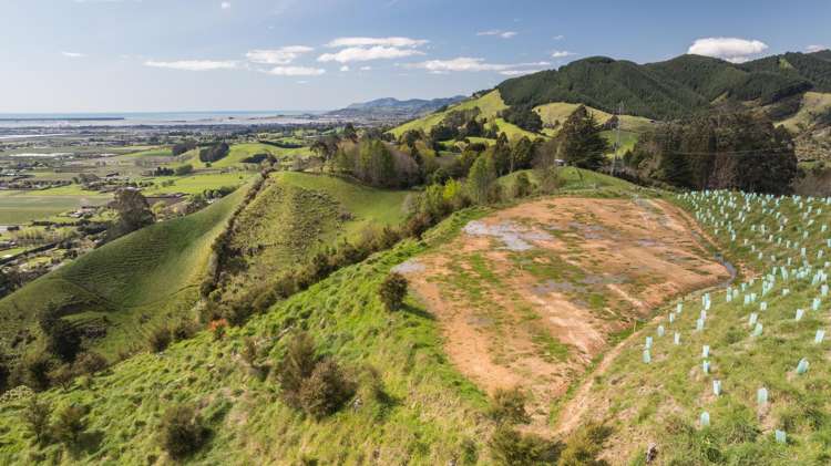 Lot 4 326 Aniseed Valley Road Aniseed Valley_8