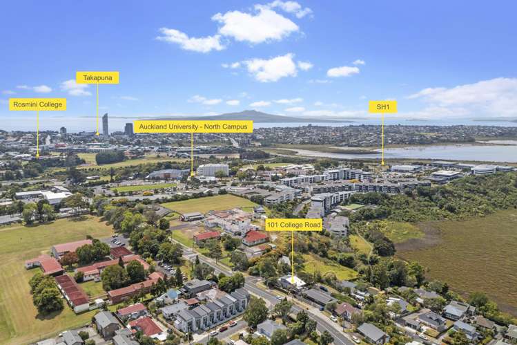 101 College Road Northcote_25