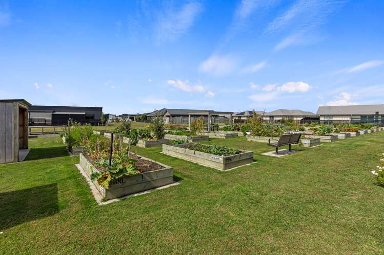 3 Crest Way Papamoa_16