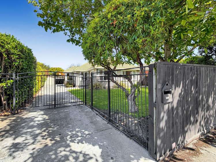 101 Maidstone Rd Ilam_19