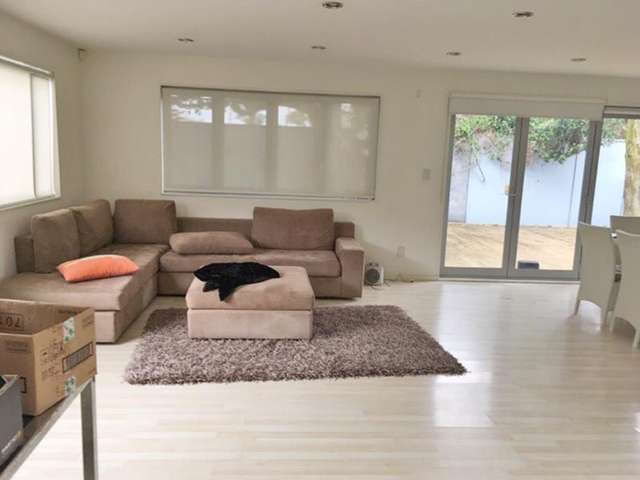 51 Caen Road Panmure_1