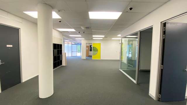 94 Grey Street Tauranga Central_1