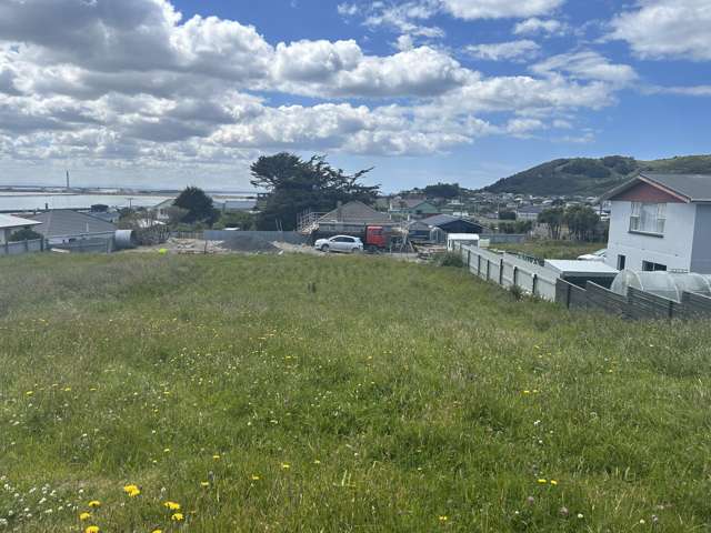 66 Shannon Street Bluff_2