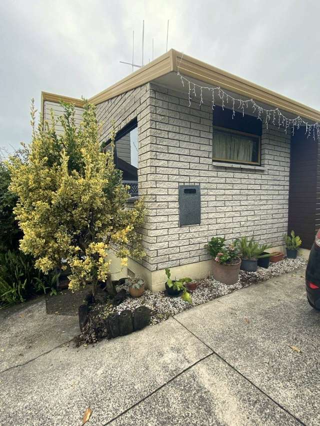 293A Waihi Road Judea_1