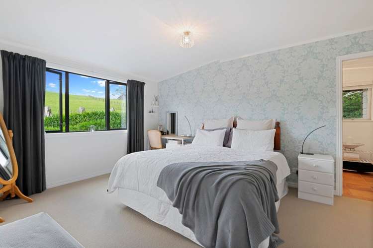 426 Blackbridge Road Dairy Flat_10