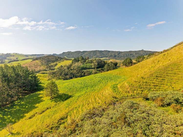 Lot 1 Backriver Road Taipa_5